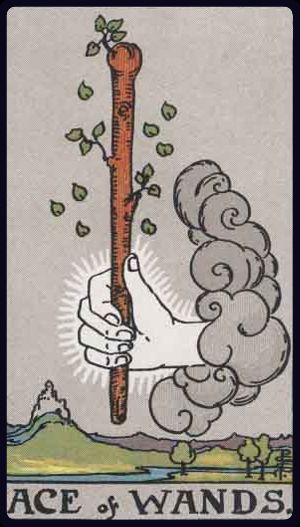 Ace of Wands tarot card from the Rider-Waite-Smith deck